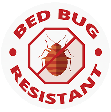 Bed Bugs And Broom Sticks Ess Universal