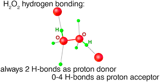 H2o2 Hydrogen Bonding