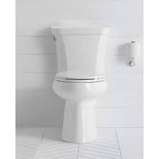 Toilet Seat With Quick Release Hinges