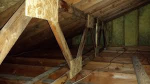 what causes attic mold how to get rid