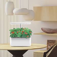 Indoor Garden Starter Kit With Led Grow
