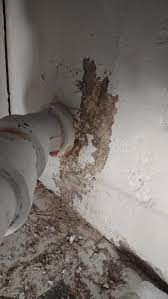 Prevent Water Seepage In Your Basement