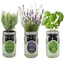 Herb Hydroponic Garden Environet