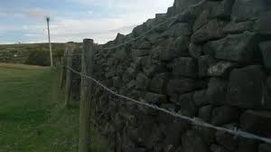 English Farmers Stone Wall In Grass