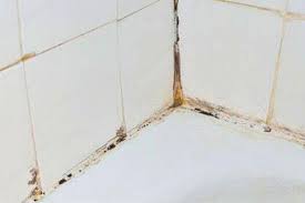 Remove Silicone Sealant Mould