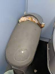 Poo Covered Toilets Slammed