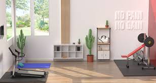 Ive Setup For A Home Gym