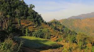 Vegetable Garden On The Mountainside