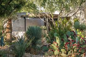 Here S How To Start A Cactus Garden And