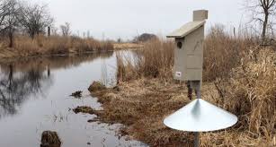 Wood Duck Box Houses Wisconsin