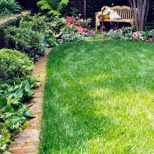 Low Maintenance Garden