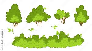 Cartoon Garden Bush Green Vegetation