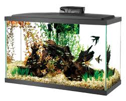 Buy Glass Aquarium Glass Thickness