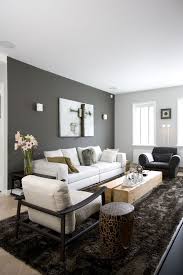 Bold Painted Accent Walls