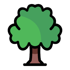 Forest Tree Nature Garden Ecology