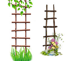 Ladder Flower Frame Albom Icon