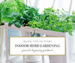 How To Start An Indoor Herb Garden