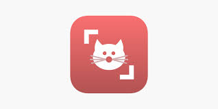 Cat Scanner On The App