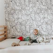 Cat Wallpapers Wall Murals Coloray