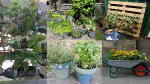 Growing Vegetables In Small Spaces And
