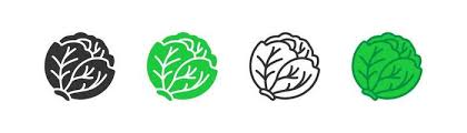 Cabbage Outline Vector Art Icons And
