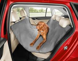 Canine Car Harness Doggie Seat Belt