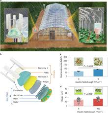 Electro Culture Farming A