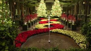 Beautiful Garden With Water Fountains