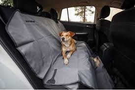 Seat Belt Covers Argos Dog Car Seat
