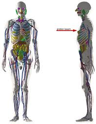 nuclear reactions in therapy of tumors