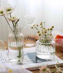 Small Vase For Plant Hydroponic Vase