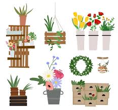 Various Plant Pots Home Gardening Flat