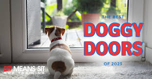 The Best Doggy Doors Of 2023 Sit