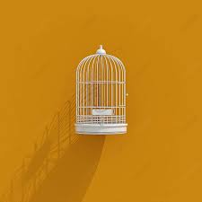3d Bird Cage Icon Lack Of Independence