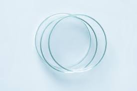 Set Of Petri Dishes Made Of Blue Glass