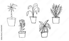 Sketch Houseplants Potted Plant Icon