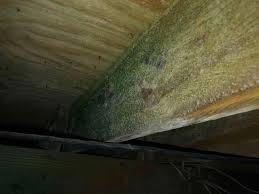 Crawl Space Moisture Control