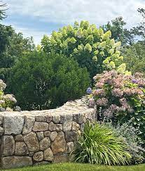 Dark Fieldstone Wall Stone Wallstone