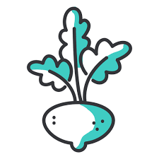 Turnip Stoke Icon Png Svg Design For