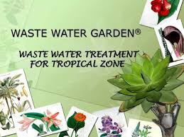 Ppt Waste Water Garden Powerpoint