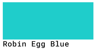 Robin Egg Blue Color Codes The Hex