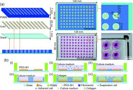 A Microfabricated 96 Well 3d Assay