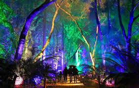 Enchanted Forest Of Light Event 2023