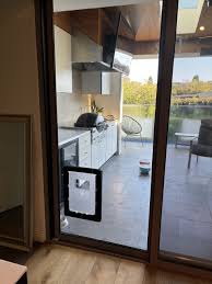 Need A Pet Door Installed Into Glass