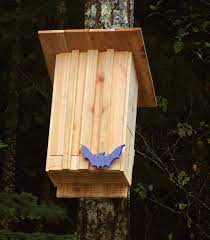 Build A Bat House Canadian Woodworking