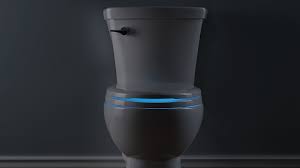 Led Toilet Seat Light Delta Faucet