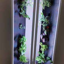Indoor Vertical Garden