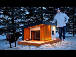 Building A Heated Dog House For
