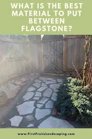 Best Material To Put Between Flagstone