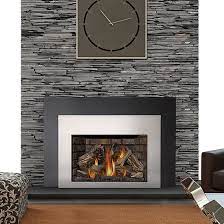 Napoleon Gas Fireplace Insert Infrared